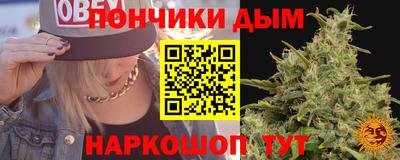 гидра Будённовск