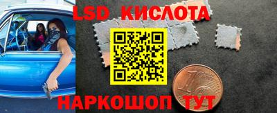 гидра Будённовск