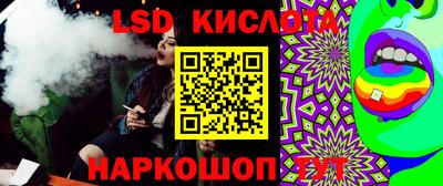 гидра Будённовск