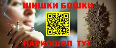 гидра Будённовск