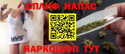 гидра Будённовск