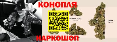 гидра Будённовск