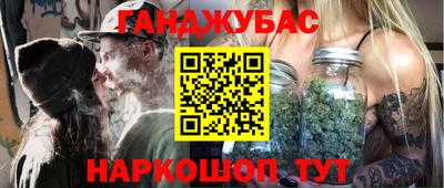 гидра Будённовск