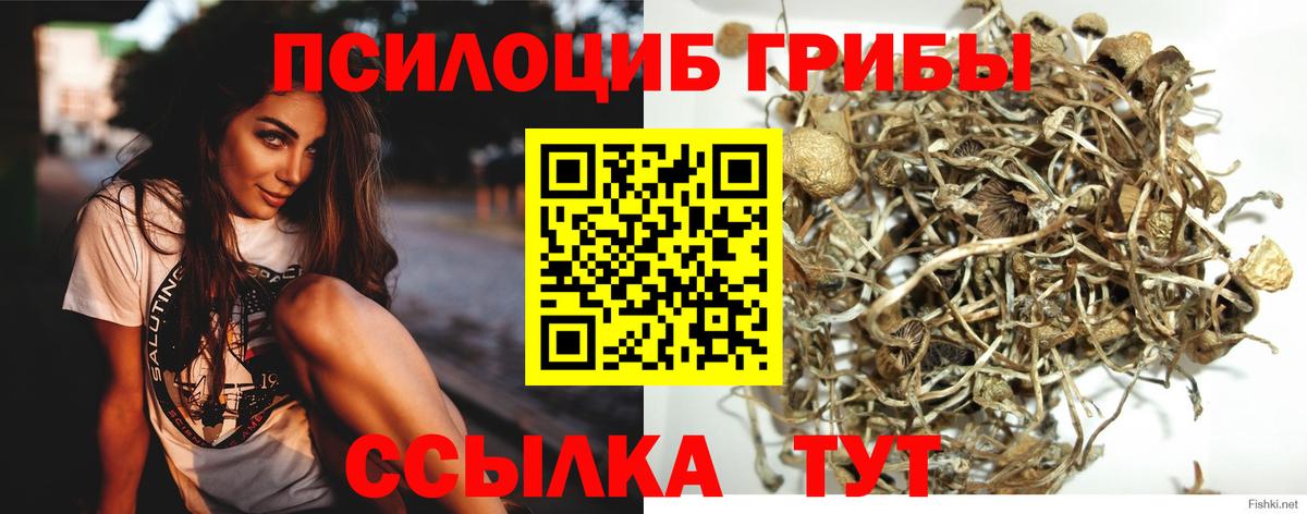 Галлюциногенные грибы MAGIC MUSHROOMS  Вход с VPN  магазин продажи   Мыски 